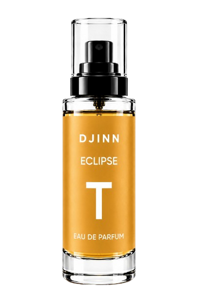 Eclipse T miniature